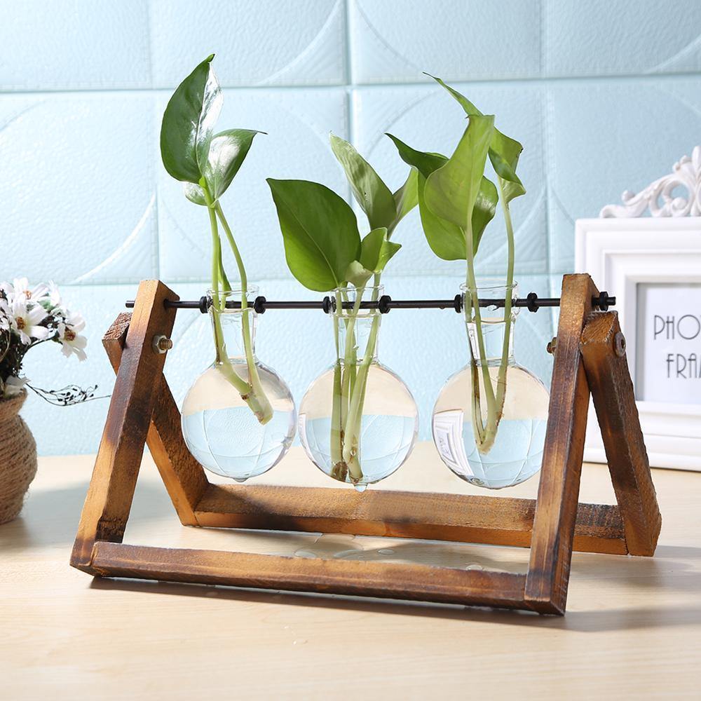 wooden frame for hanging plants Glass Propagation Vase with A-Frame Wooden Stand