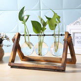 Glass Propagation Vase with A-Frame Wooden Stand | Yedwo