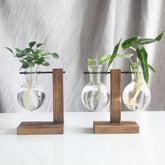 Glass Propagation Vase with Vertical Wooden Stand | Yedwo