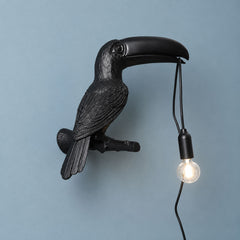 Handcrafted Resin Toucan Wall Lamp | Yedwo Design