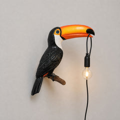 Handcrafted Resin Toucan Wall Lamp | Yedwo Design