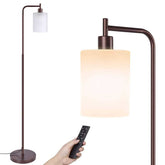 4 Colors Temperature Modern Light with Remote & Foot Control