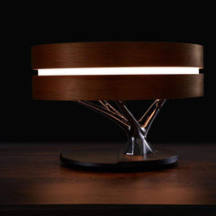 Circle Of Life Light | Yedwo Design