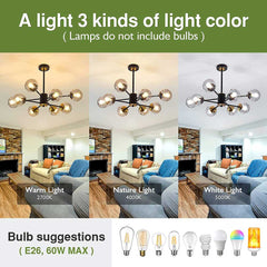Classic 8 Light Chandelier with Glass Globes | Yedwo