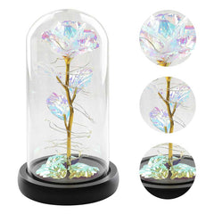 Galaxy Rose | Yedwo Design