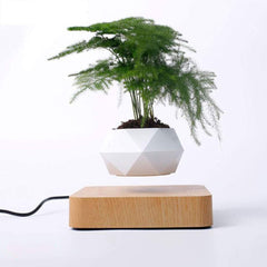 Levitating Air Bonsai Pot | Yedwo