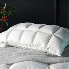 Aura Premium Natural Goose Down Pillow Set (Pair) | Yedwo