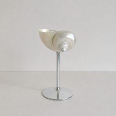 Crystal Natural Seashell Cup Set of 2 | Yedwo Design