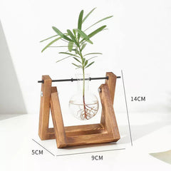 Glass Propagation Vase with A-Frame Wooden Stand | Yedwo