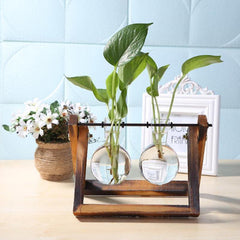 Glass Propagation Vase with A-Frame Wooden Stand | Yedwo