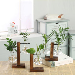 Glass Propagation Vase with Vertical Wooden Stand | Yedwo