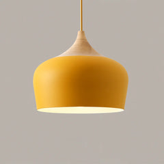 Soft Pastel Metal & Wood Pendant Lights | Yedwo Design